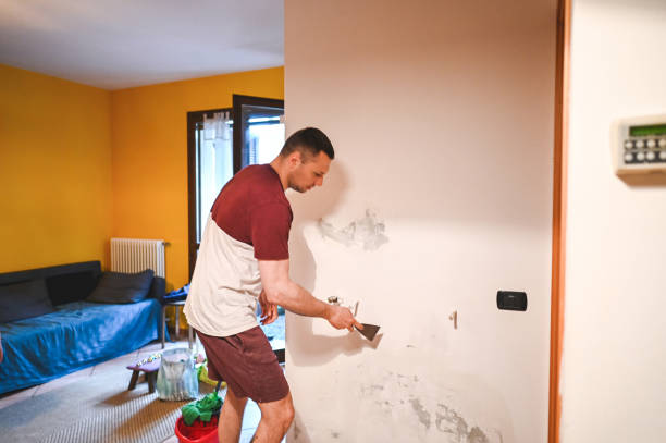 Best Home Mold Removal  in Willow Grove, TX